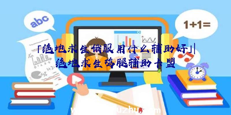 「绝地求生俄服用什么辅助好」|绝地求生鸡腿辅助卡盟